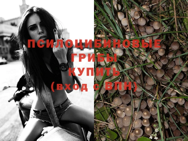 экстази Осташков