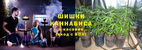 трава Осинники
