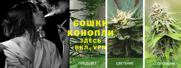 экстази Осташков