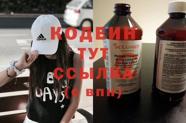 трава Осинники