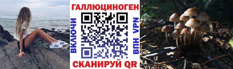Псилоцибиновые грибы мухоморы кракен зеркало Светлогорск